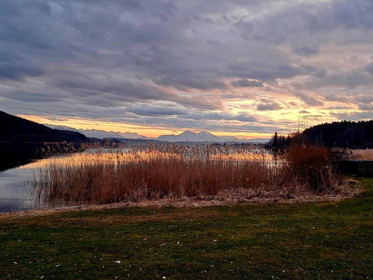 Ferienwohnung Wallersee Neumarkt am Wallersee Exterior foto