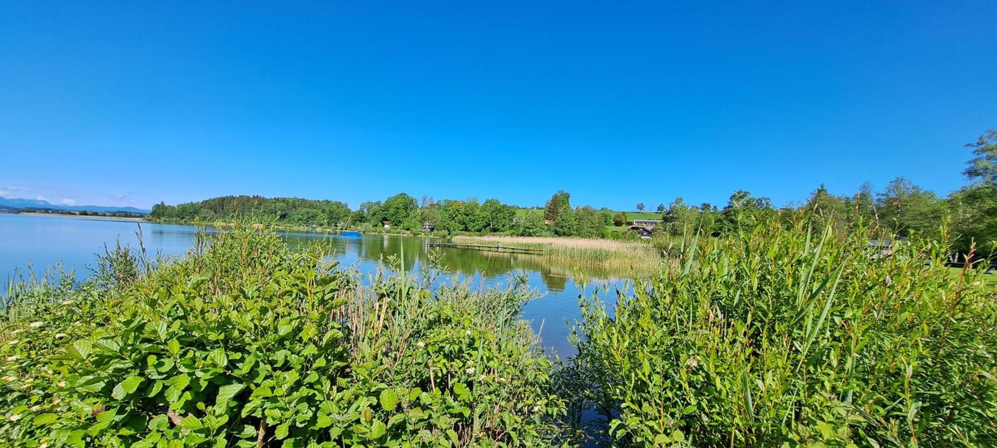 Ferienwohnung Wallersee Neumarkt am Wallersee Exterior foto